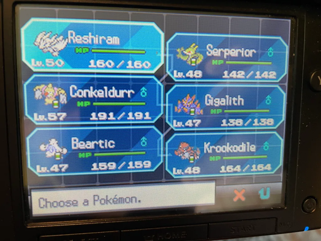 A photo of my Black team before facing he final boss